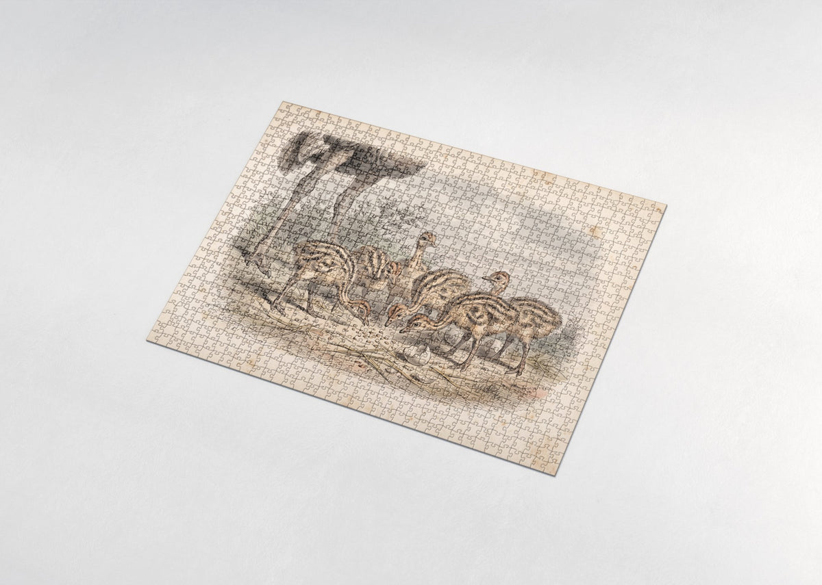 Ostrich Chicks in the Sand jigsaw puzzle - assembled puzzle