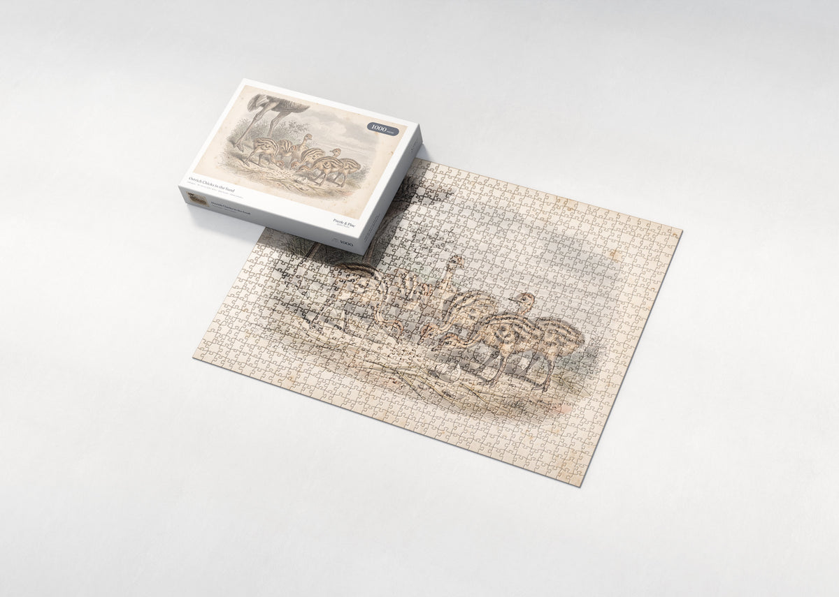 Ostrich Chicks in the Sand jigsaw puzzle - box and puzzle