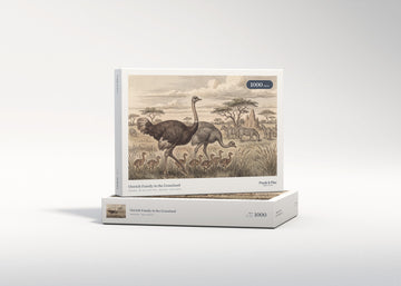 Ostrich Family in the Grassland jigsaw puzzle - gift box