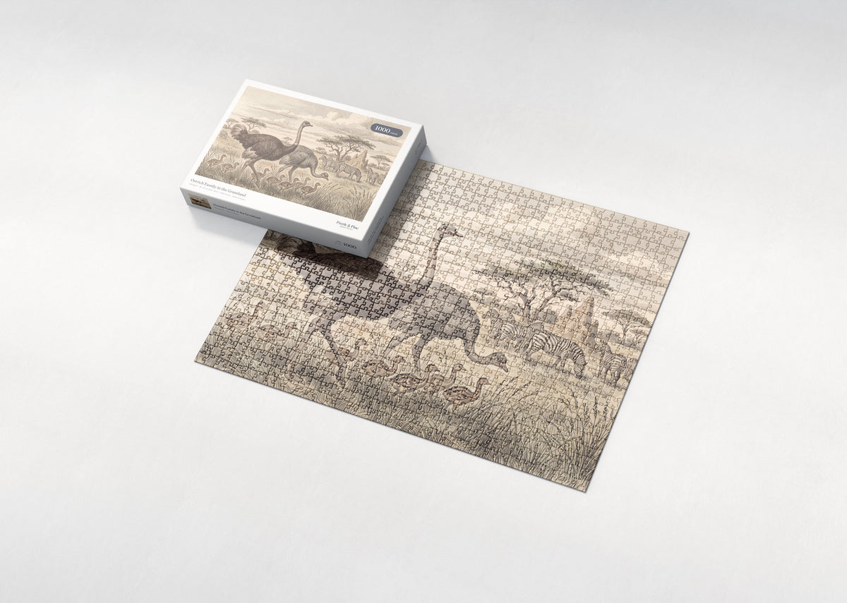 Ostrich Family in the Grassland jigsaw puzzle - box and puzzle