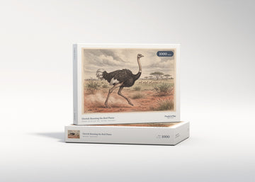 Ostrich Running the Red Plains jigsaw puzzle - gift box