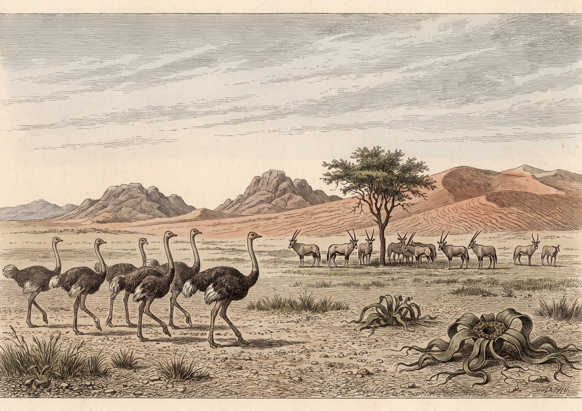 Ostriches at the Desert Edge jigsaw puzzle