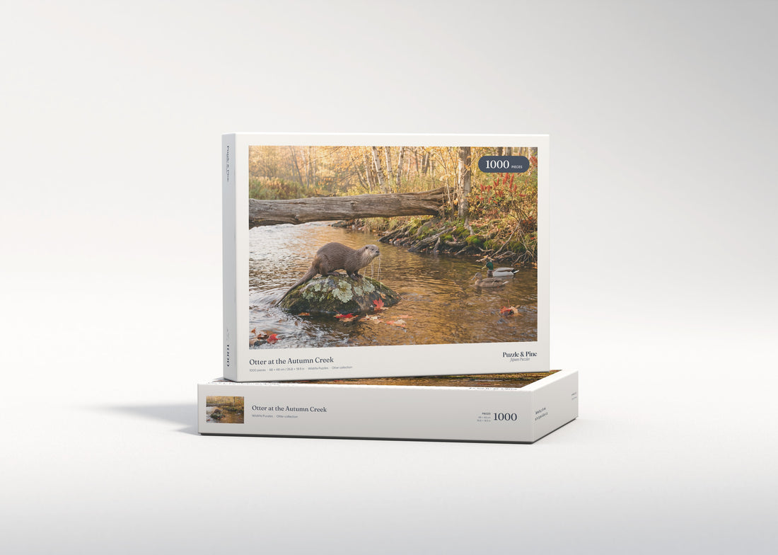 Otter at the Autumn Creek jigsaw puzzle - gift box