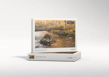 Otter at the Autumn Creek jigsaw puzzle - gift box