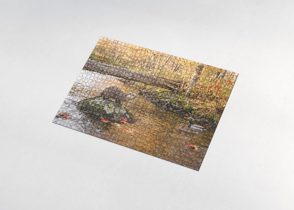 Otter at the Autumn Creek jigsaw puzzle - assembled puzzle