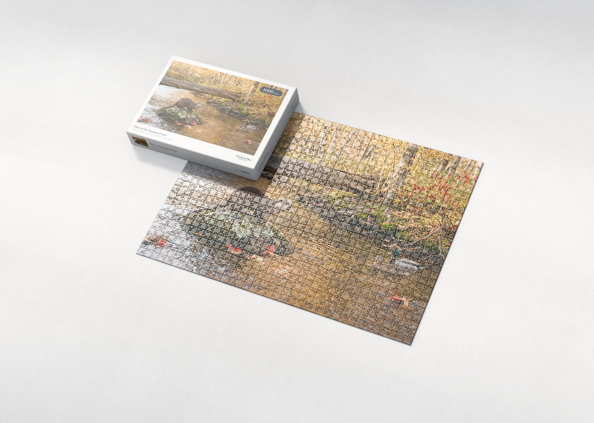 Otter at the Autumn Creek jigsaw puzzle - box and puzzle