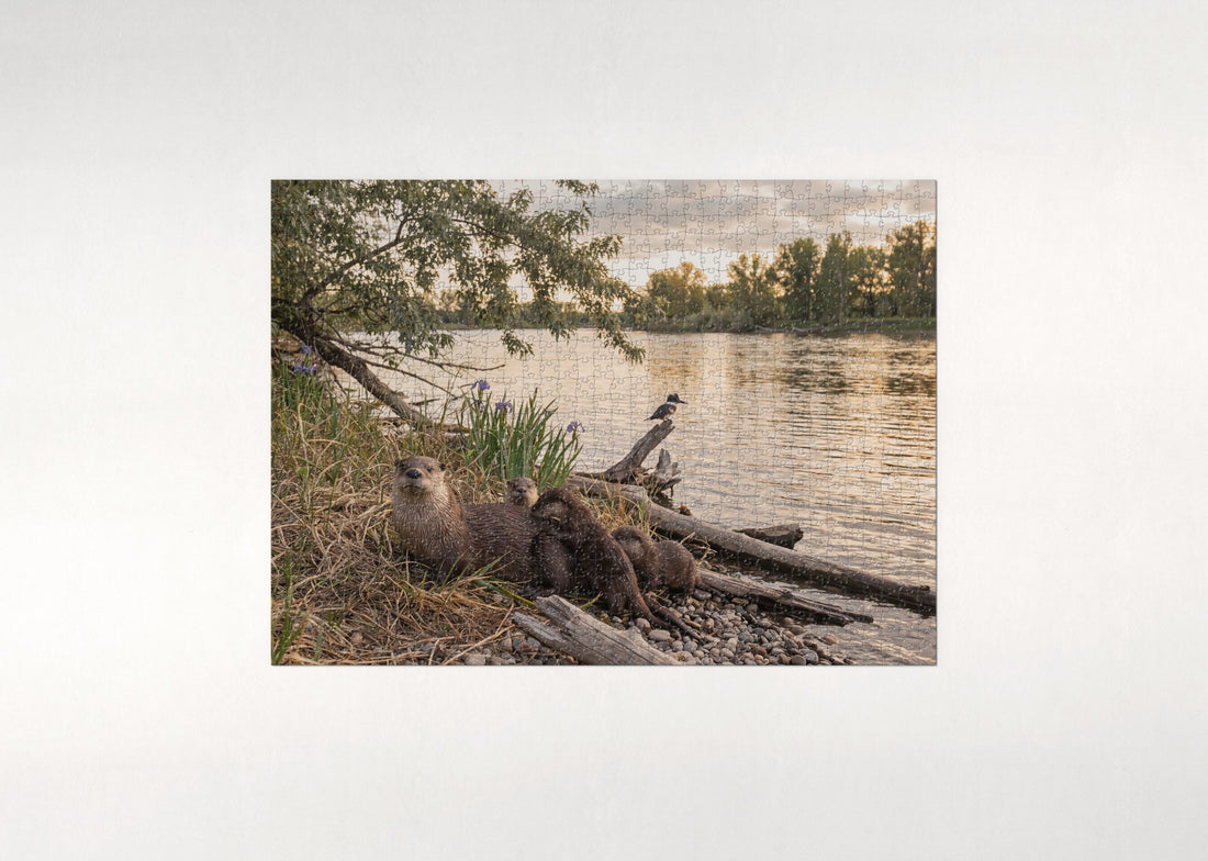 Otter Family at the Riverbank jigsaw puzzle - gift box