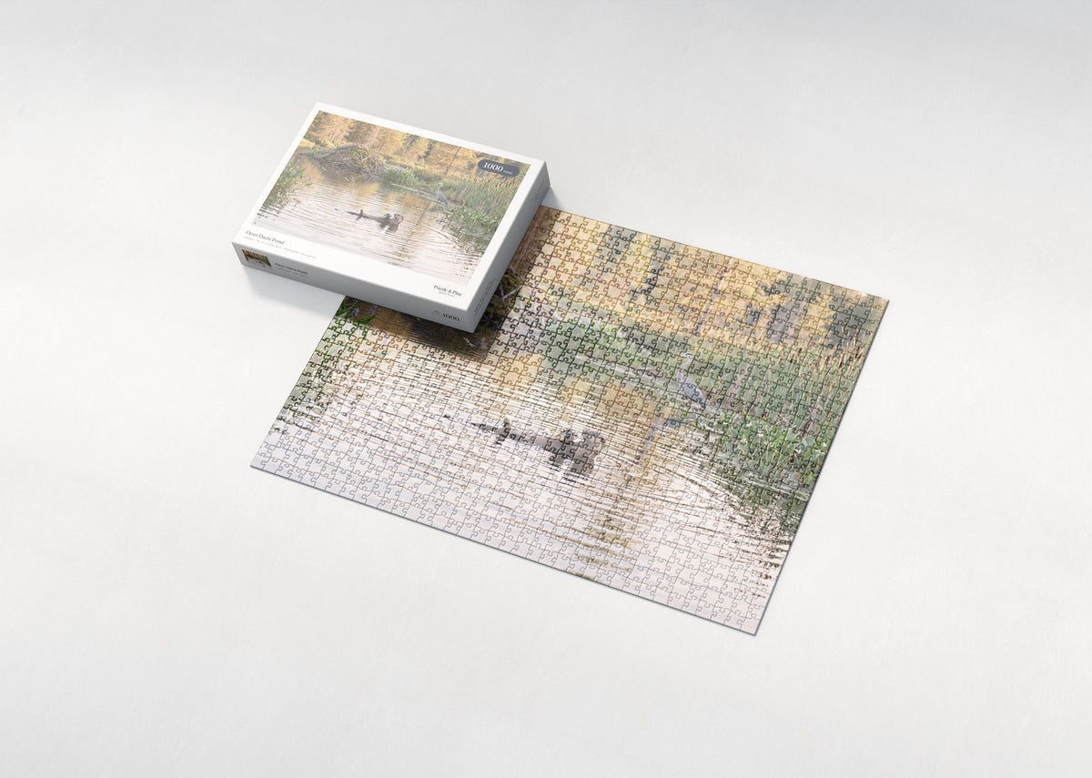 Otter Oasis Pond jigsaw puzzle - box and puzzle