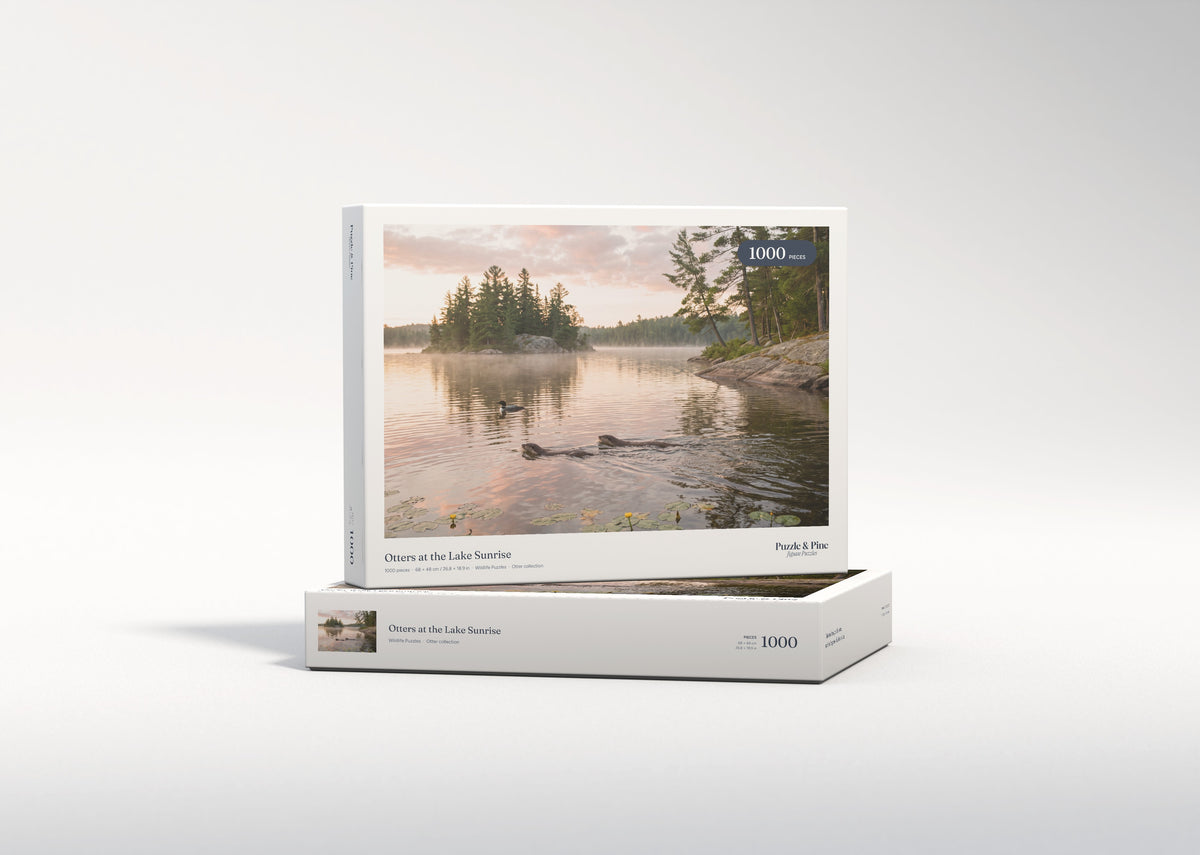 Otters at the Lake Sunrise jigsaw puzzle - gift box