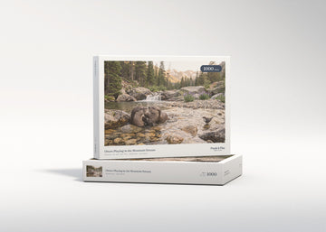 Otters Playing in the Mountain Stream jigsaw puzzle - gift box