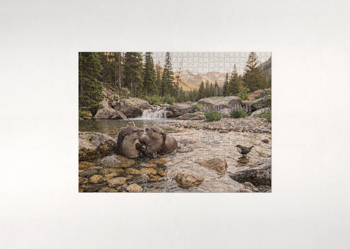 Otters Playing in the Mountain Stream jigsaw puzzle - flat puzzle