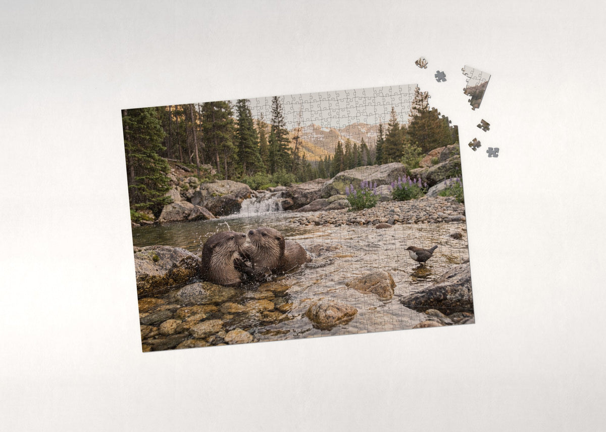 Otters Playing in the Mountain Stream jigsaw puzzle - puzzle with loose pieces