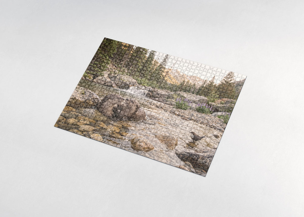 Otters Playing in the Mountain Stream jigsaw puzzle - assembled puzzle