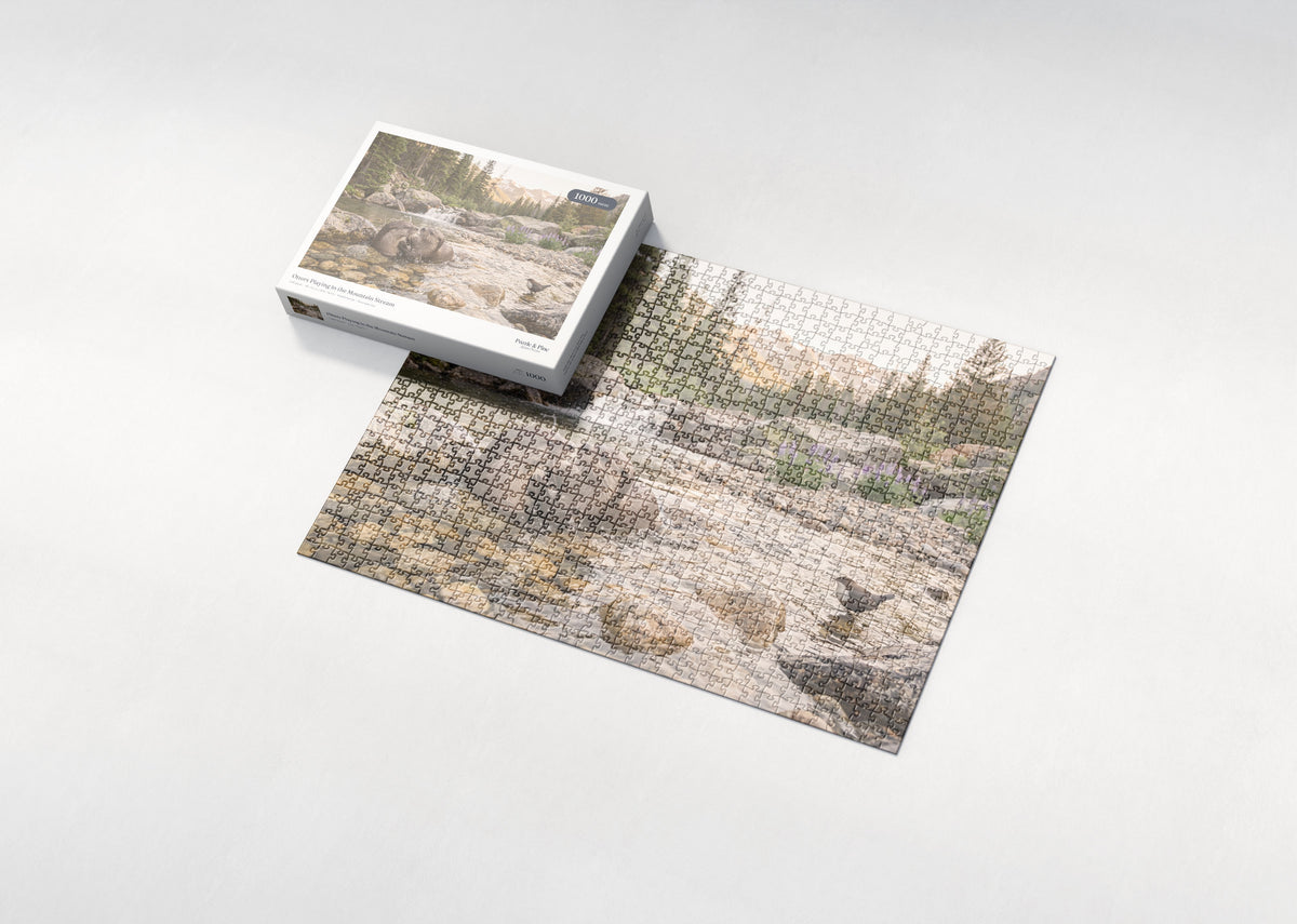 Otters Playing in the Mountain Stream jigsaw puzzle - box and puzzle