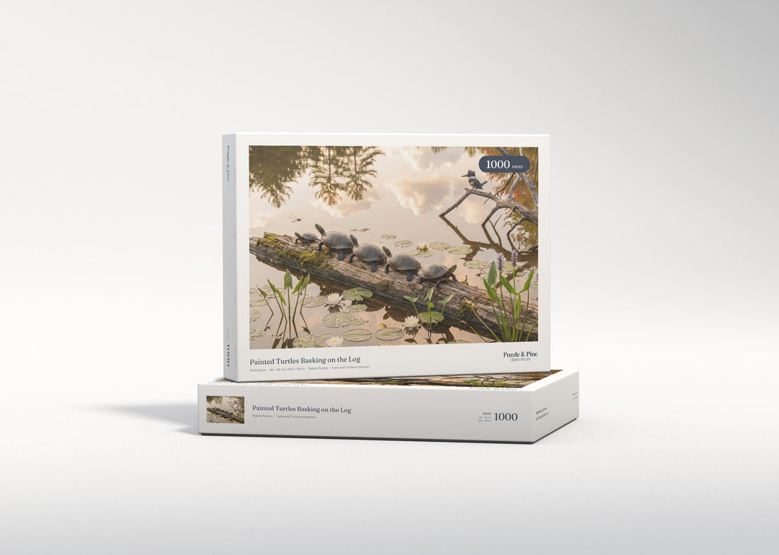 Painted Turtles Basking on the Log jigsaw puzzle - gift box