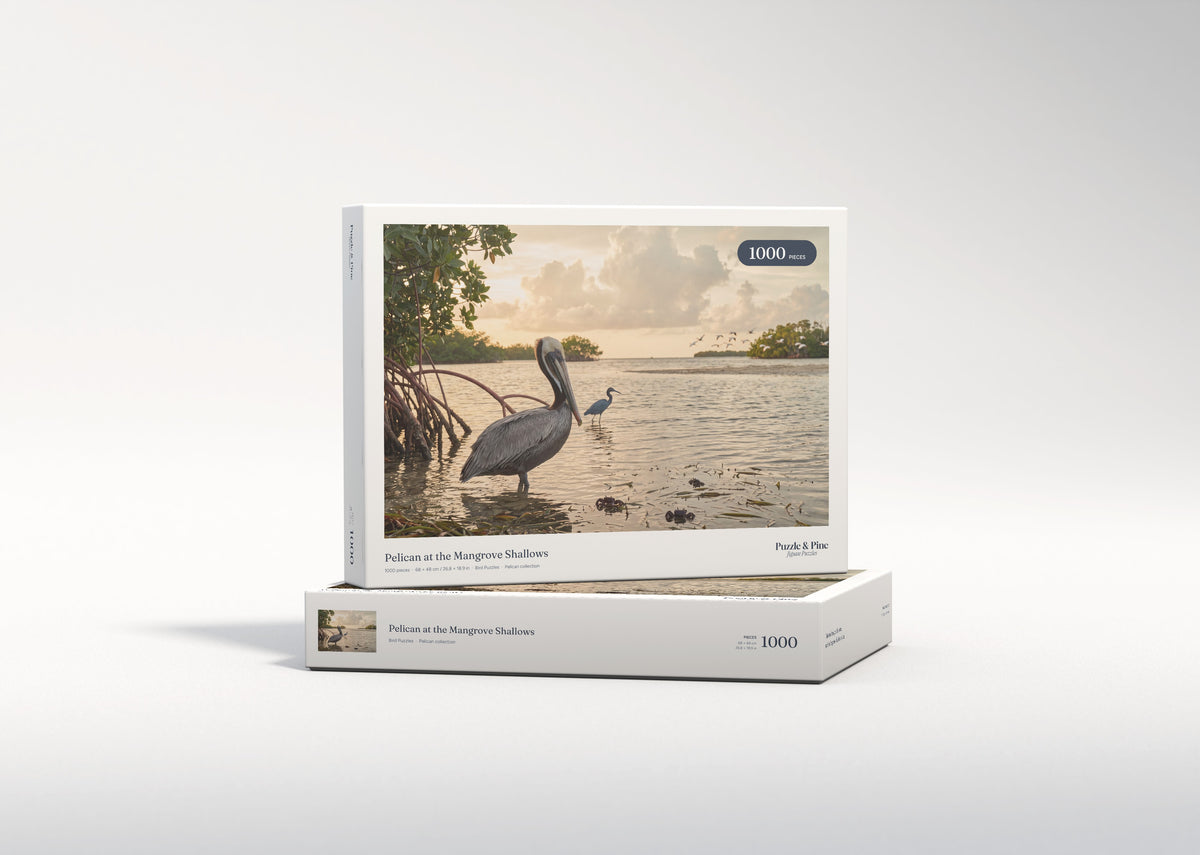 Pelican at the Mangrove Shallows jigsaw puzzle - gift box