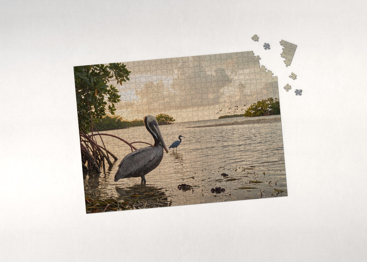 Pelican at the Mangrove Shallows jigsaw puzzle - puzzle with loose pieces
