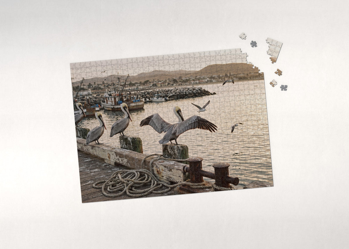 Pelicans on the Harbor Pier jigsaw puzzle - puzzle with loose pieces