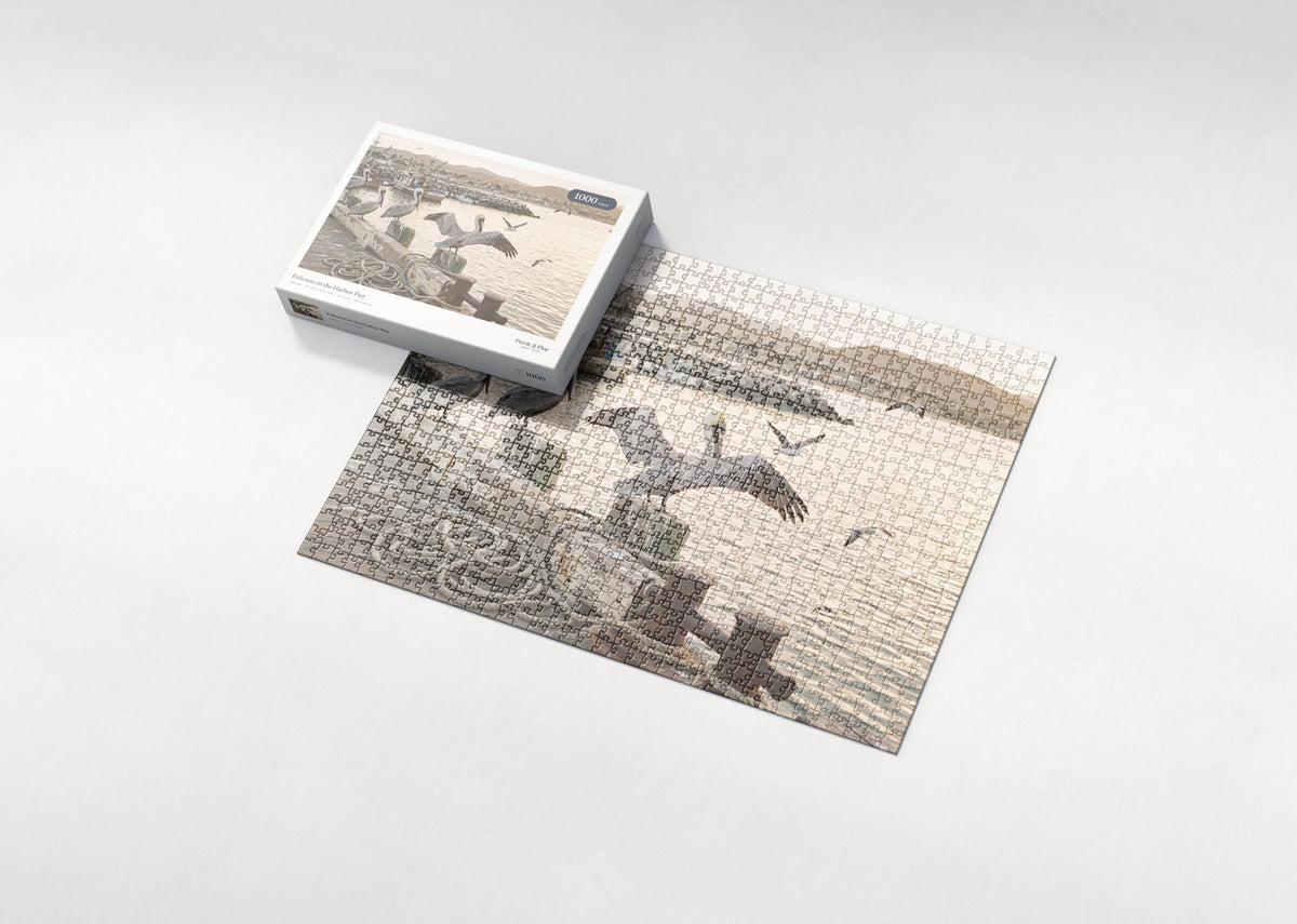 Pelicans on the Harbor Pier jigsaw puzzle - box and puzzle
