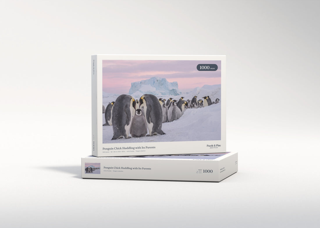 Penguin Chick Huddling with Its Parents jigsaw puzzle - gift box
