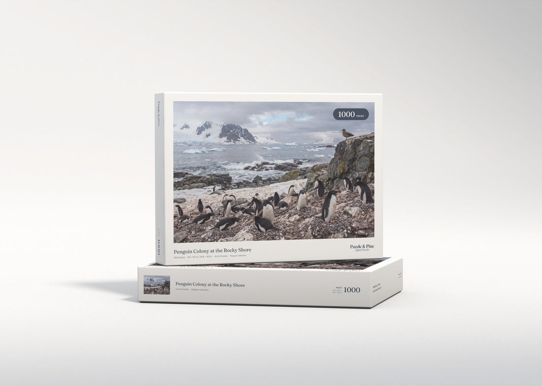 Penguin Colony at the Rocky Shore jigsaw puzzle - gift box