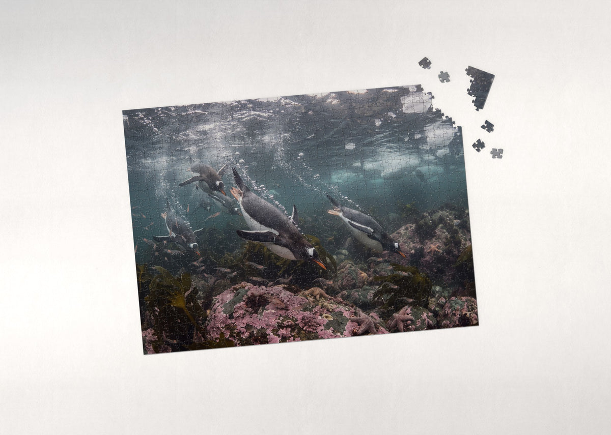 Penguins Diving Into the Blue jigsaw puzzle - puzzle with loose pieces