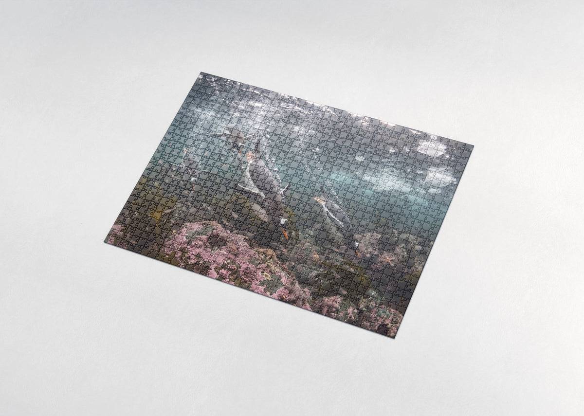 Penguins Diving Into the Blue jigsaw puzzle - assembled puzzle