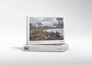Penguins of the World Collage jigsaw puzzle - gift box