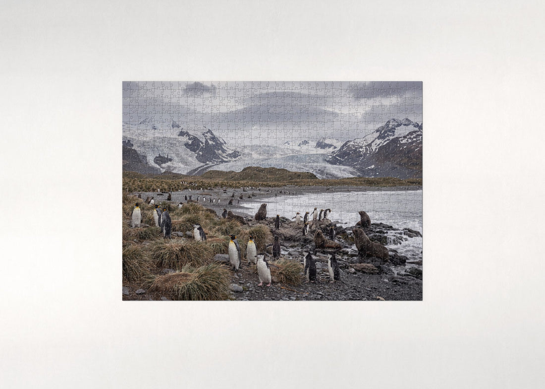 Penguins of the World Collage jigsaw puzzle - gift box