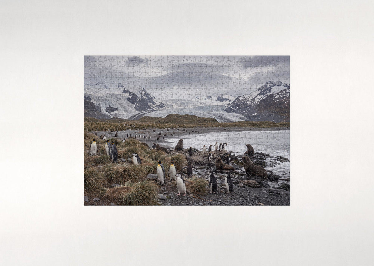 Penguins of the World Collage jigsaw puzzle - flat puzzle