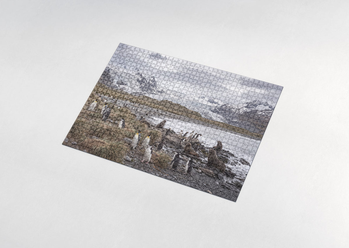 Penguins of the World Collage jigsaw puzzle - assembled puzzle