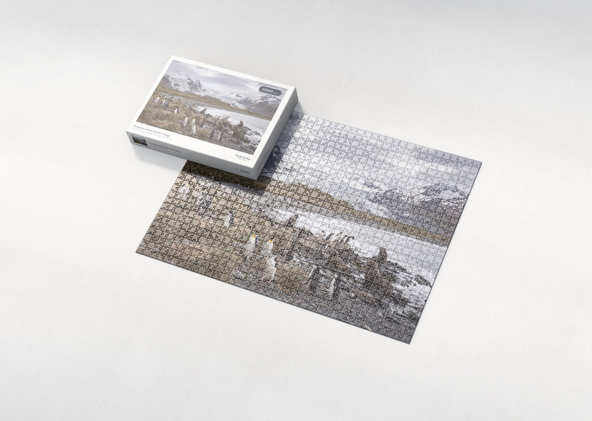 Penguins of the World Collage jigsaw puzzle - box and puzzle