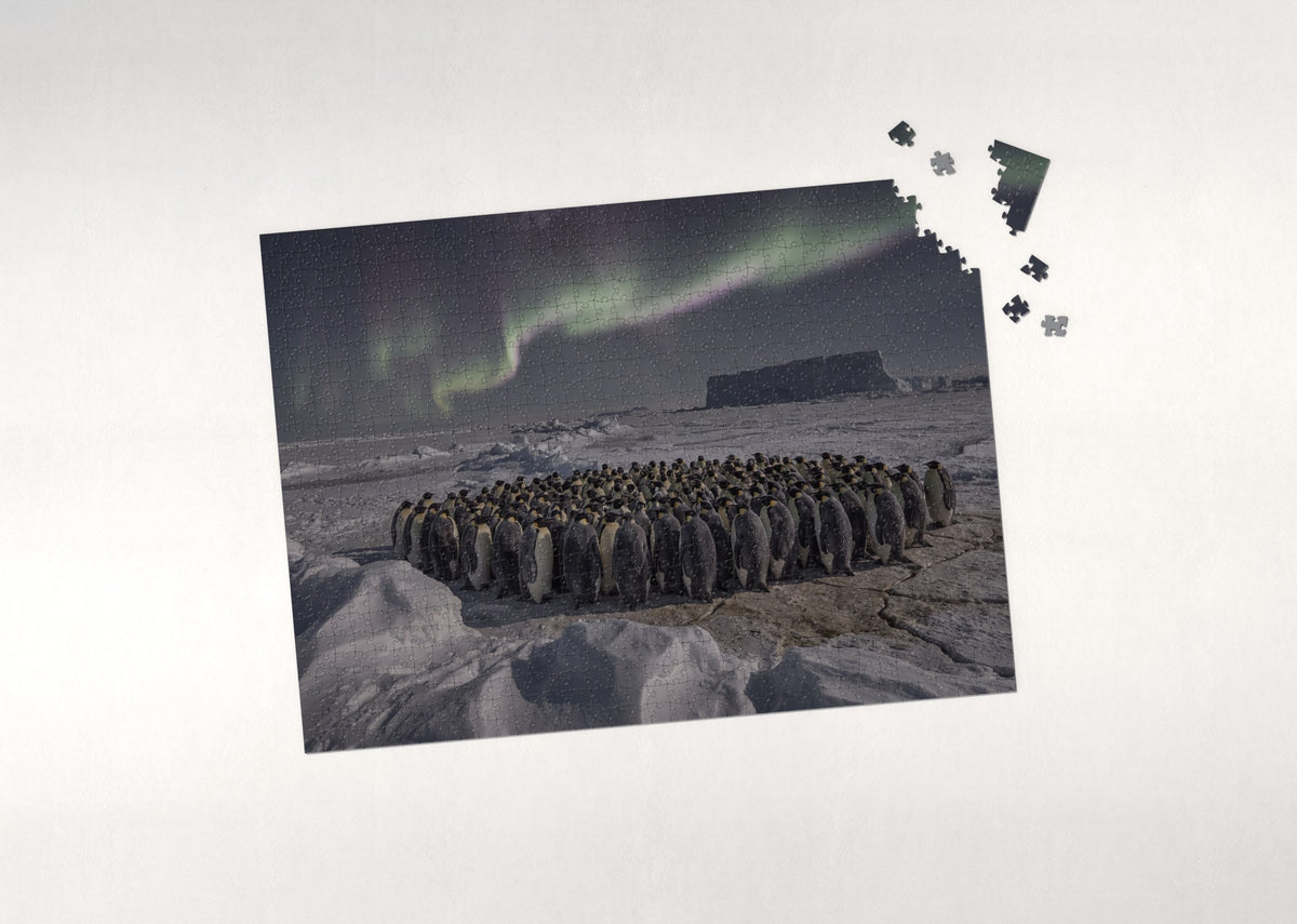 Penguins Under the Southern Lights jigsaw puzzle - puzzle with loose pieces