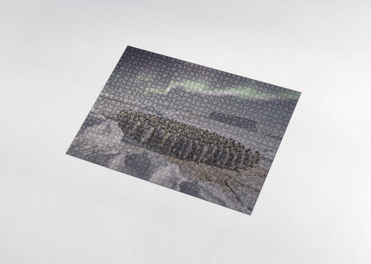 Penguins Under the Southern Lights jigsaw puzzle - assembled puzzle
