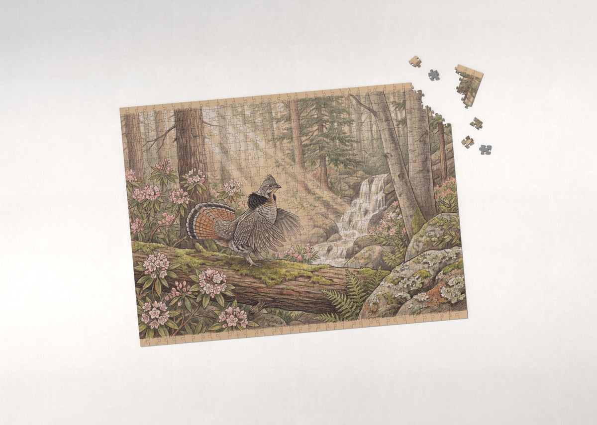 Pennsylvania State Bird and Flower: Ruffed Grouse and Mountain Laurel jigsaw puzzle - puzzle with loose pieces