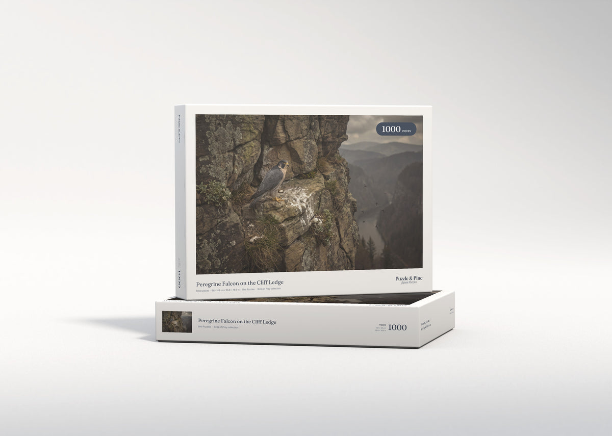 Peregrine Falcon on the Cliff Ledge jigsaw puzzle - gift box
