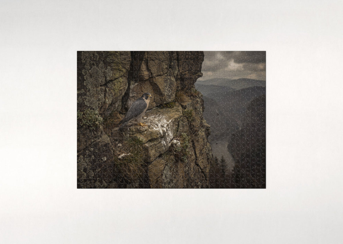 Peregrine Falcon on the Cliff Ledge jigsaw puzzle - flat puzzle