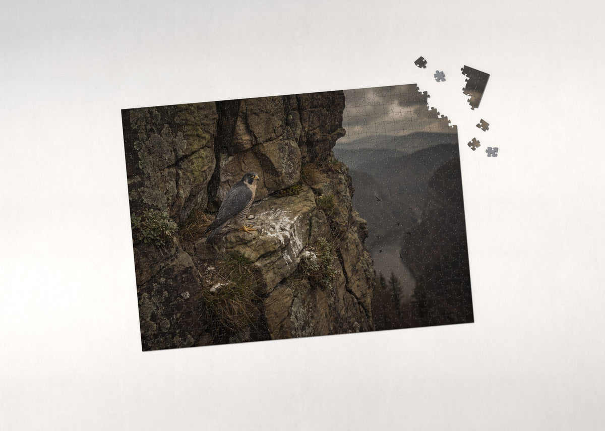 Peregrine Falcon on the Cliff Ledge jigsaw puzzle - puzzle with loose pieces