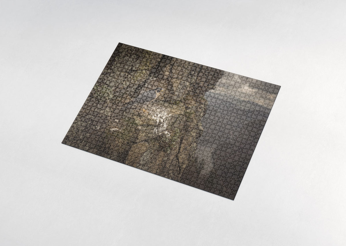 Peregrine Falcon on the Cliff Ledge jigsaw puzzle - assembled puzzle