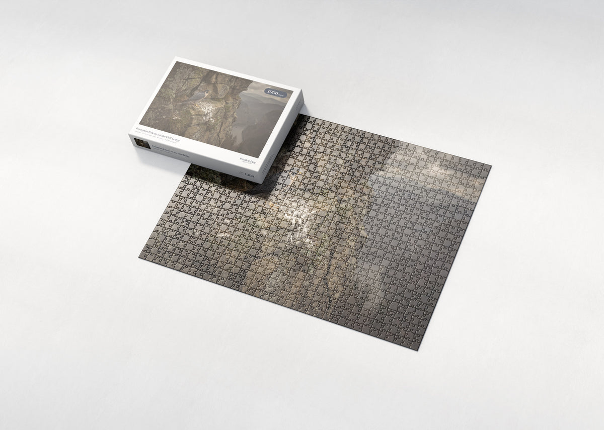 Peregrine Falcon on the Cliff Ledge jigsaw puzzle - box and puzzle