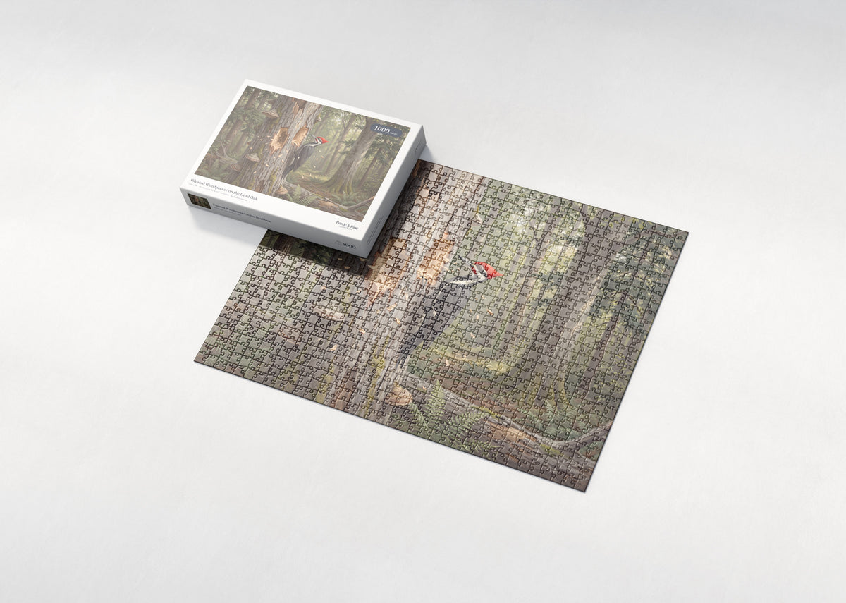 Pileated Woodpecker on the Dead Oak jigsaw puzzle - box and puzzle