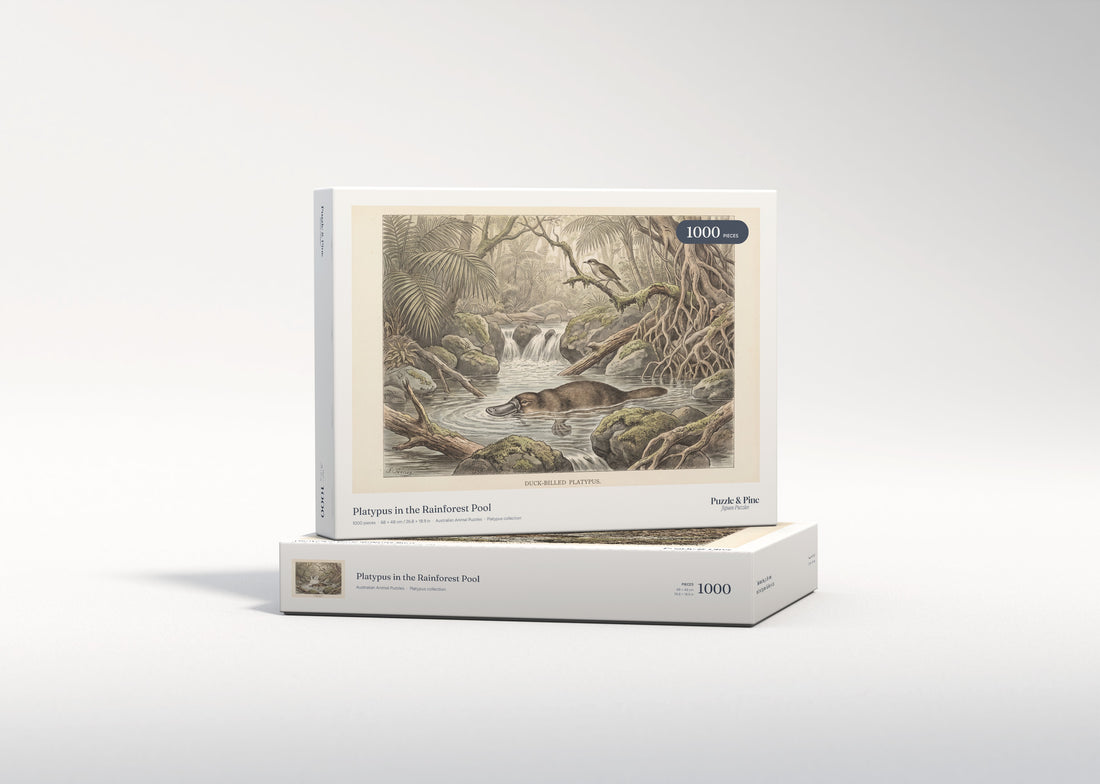 Platypus in the Rainforest Pool jigsaw puzzle - gift box