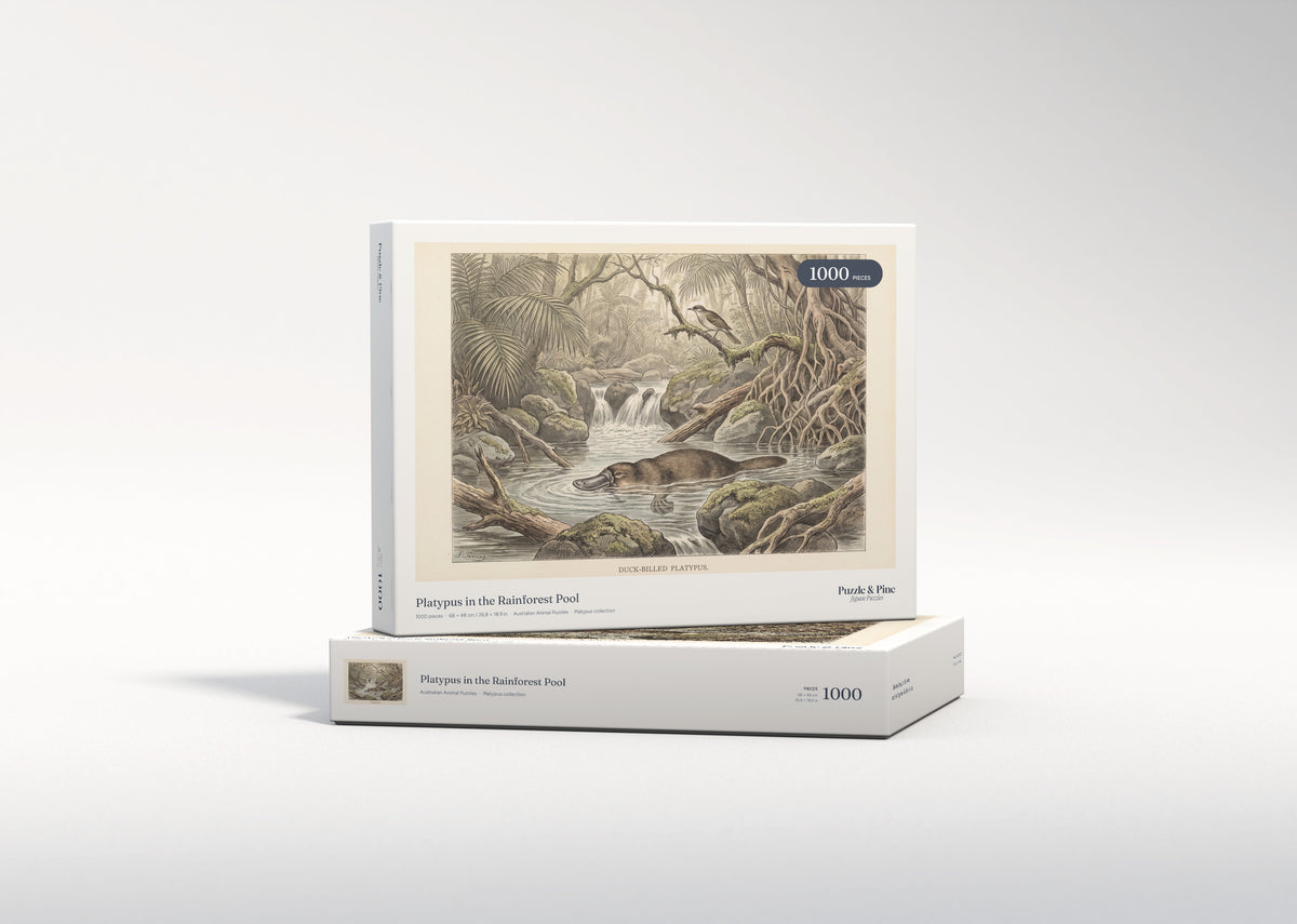 Platypus in the Rainforest Pool jigsaw puzzle - gift box