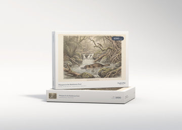 Platypus in the Rainforest Pool jigsaw puzzle - gift box