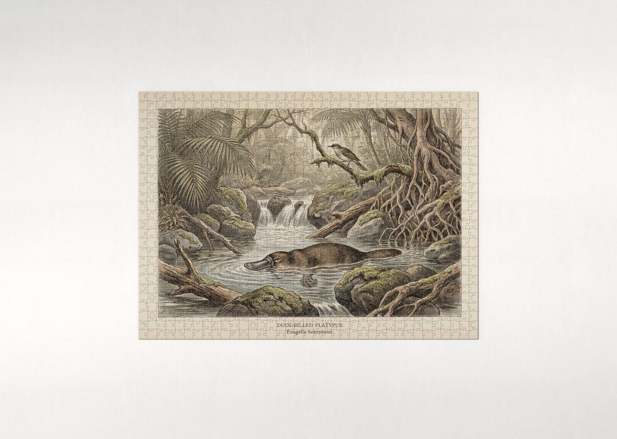 Platypus in the Rainforest Pool jigsaw puzzle - flat puzzle