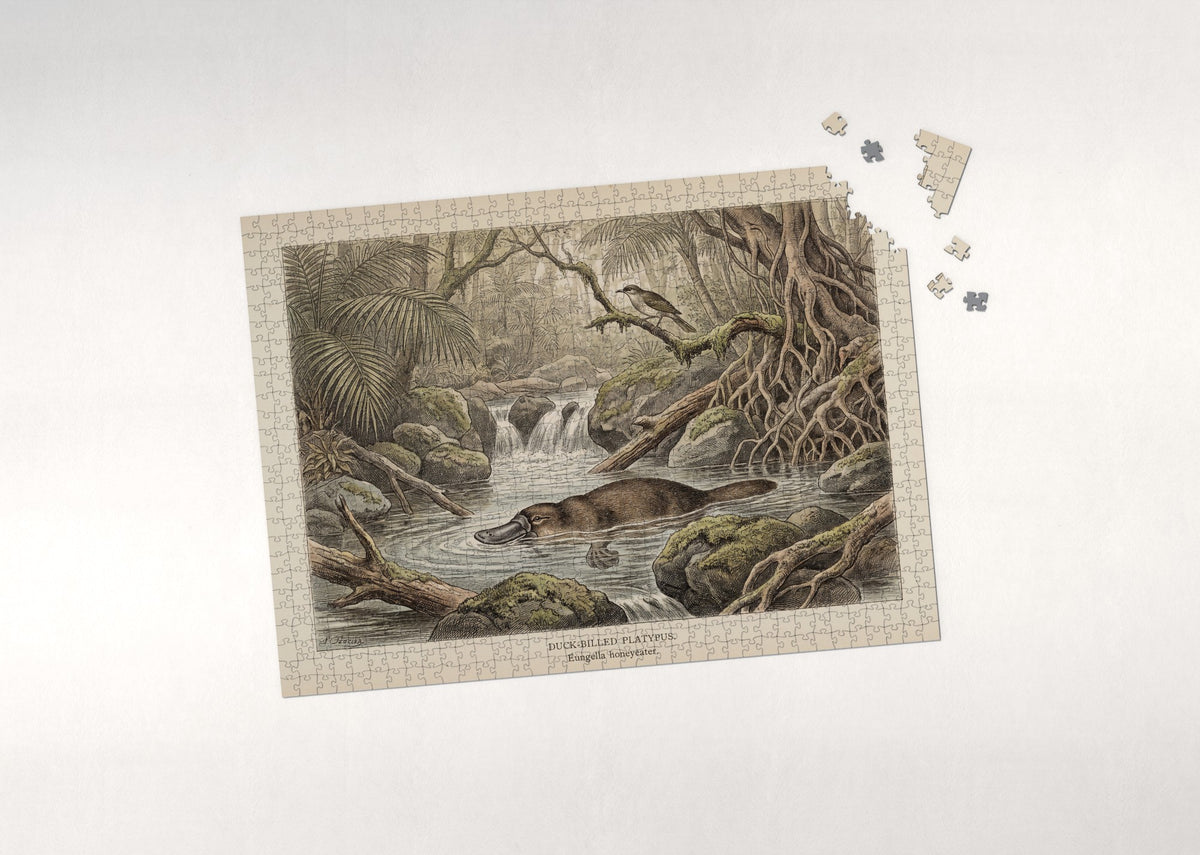 Platypus in the Rainforest Pool jigsaw puzzle - puzzle with loose pieces