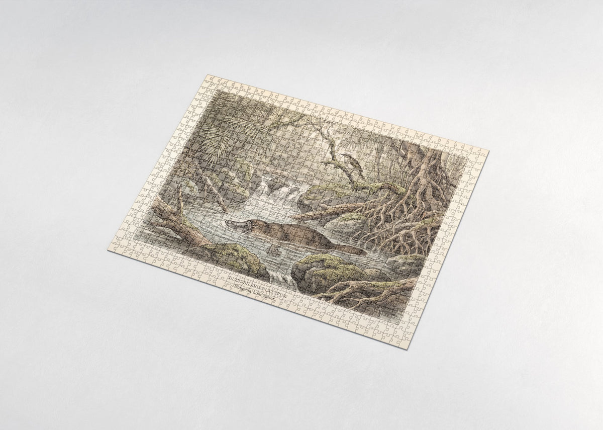 Platypus in the Rainforest Pool jigsaw puzzle - assembled puzzle