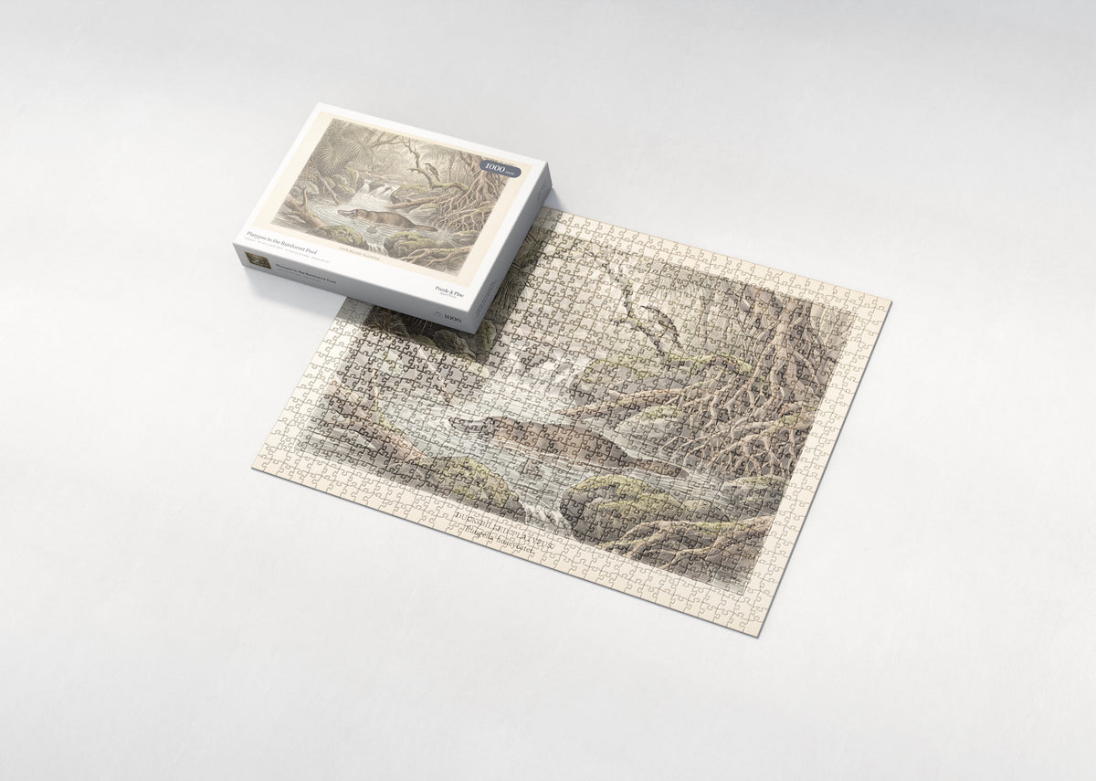 Platypus in the Rainforest Pool jigsaw puzzle - box and puzzle