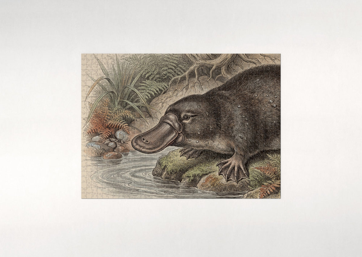 Platypus Portrait jigsaw puzzle - flat puzzle