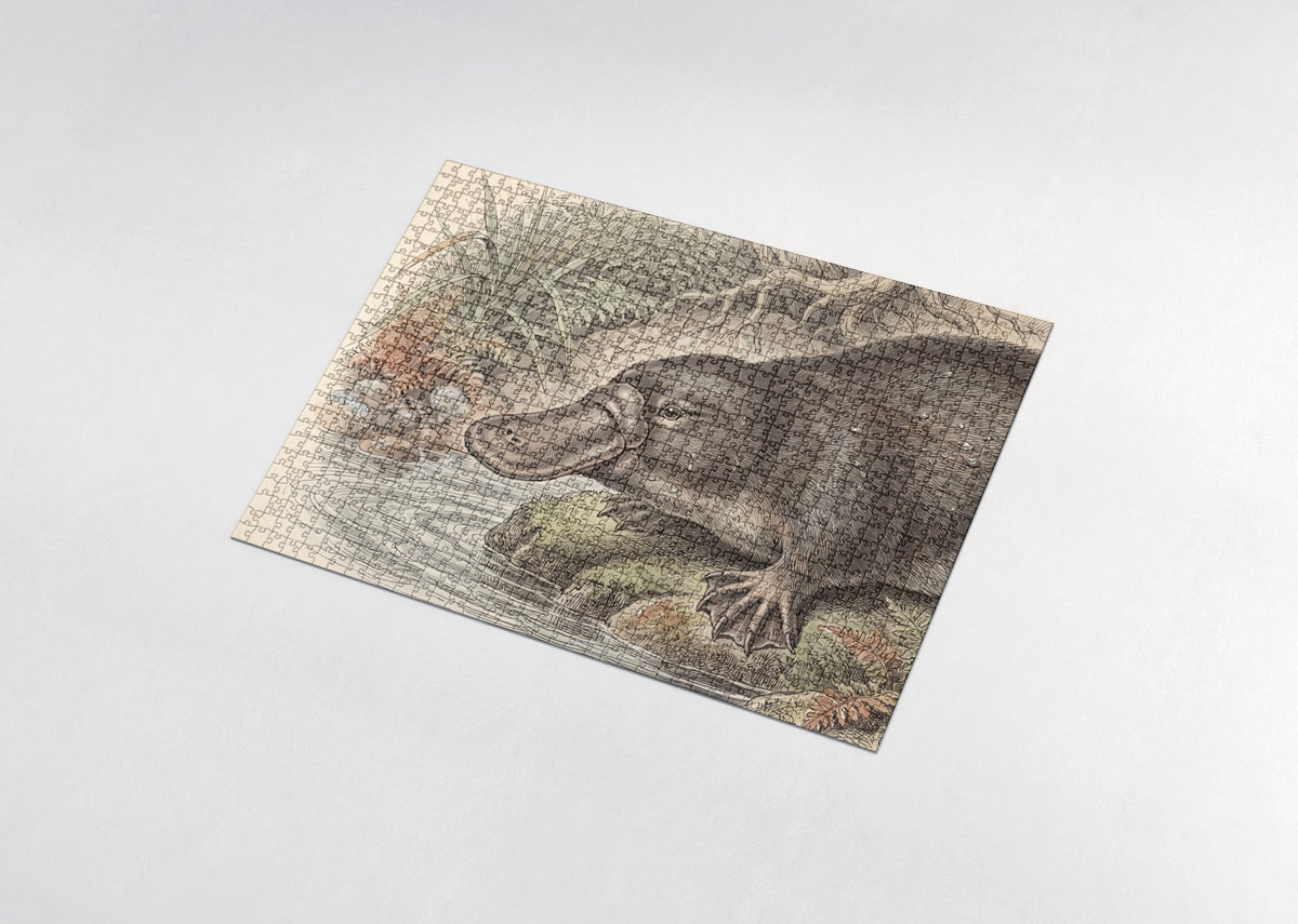Platypus Portrait jigsaw puzzle - assembled puzzle